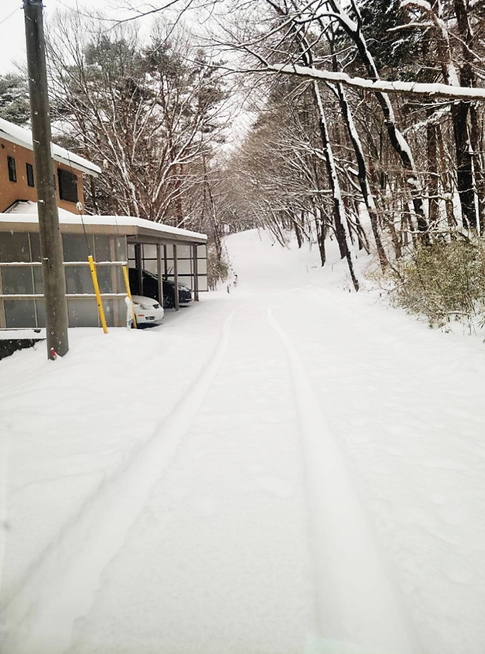 那須町の現場までの道中の雪