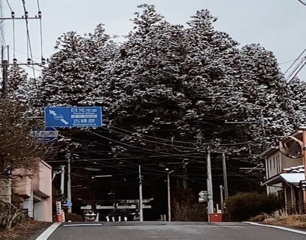 雪が積もり一面銀世界