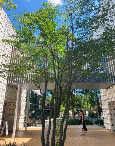 ３つの棟が渡り廊下で繋がる形状の蔦屋書店