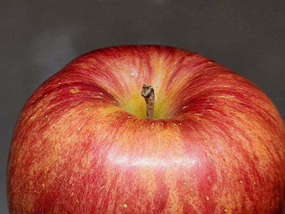 軸が太いリンゴを選ぶ