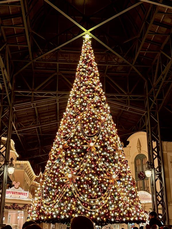 綺麗に飾られたクリスマスツリー