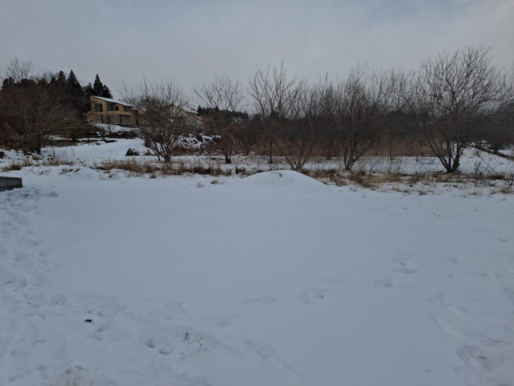 冬景色の那須エリア